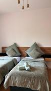 Top Frankenthal