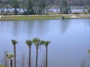 Top Orlando