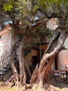 VILLINO TROCCOLI, Appartamento ALICE