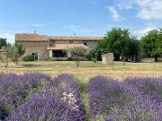 Mas du 18e siècle au calme entouré de champs de lavandes