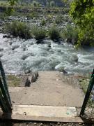 Birdsong Pahalgam Birdsong Pahalgam