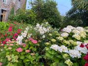 Top Saint-Brieuc Top Saint-Brieuc