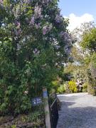 Top Caurel Top Caurel