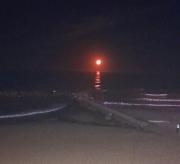 La casa de Mar del Plata