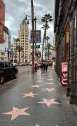 Top Los Angeles