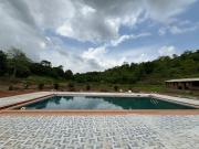 Top Palasdari