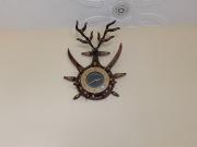 Niharika Homestay Niharika Homestay