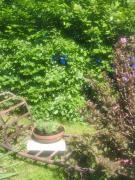 Top Kojetice Top Kojetice