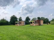 De Merel - Tussen de Wilgen