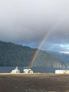 Top Neltume Top Neltume