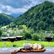 Top Dzembronia Top Dzembronia