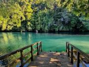 Top Neltume Top Neltume