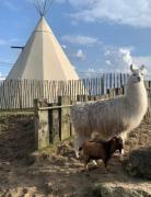 Le tipi dAdri Le tipi dAdri