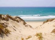 Top Lugon et l’Ile du Carney