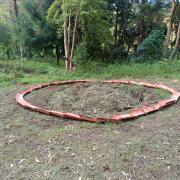 Top Guarne