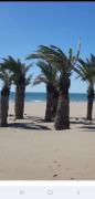 Top Narbonne-Plage