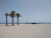 Apartamento del tilo