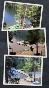 Top Moyie