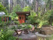 Top Nevada City