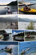Top Moyie