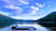 Top Moyie
