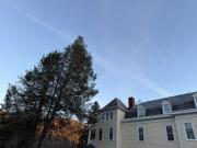 Top Sylva
