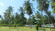 Top Ukunda