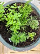 Top Heberg Top Heberg