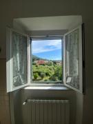 Top Livorno Top Livorno