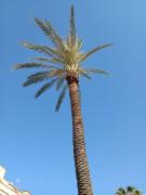 Top Marinella di Selinunte