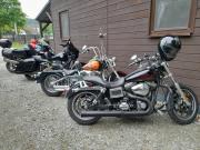 Top Złoty Stok Top Złoty Stok