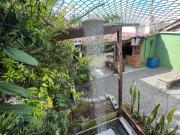 Top São Francisco do Sul