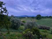 Top Colle Val D'Elsa Top Colle Val D'Elsa