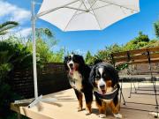 Kanae - Vacation STAY 96254v