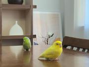 Open Special Korean Style 8 people 5 minutes walk from Jeonpo Station Cafe Street Seomyeon 17minutes from Airport 13 minutes from KTX,1 minute from BIFC