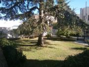 B&B Il Cedro B&B Il Cedro