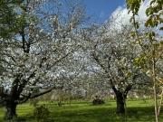 Top Doué-la-Fontaine