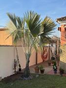 Top Chiclana de la Frontera