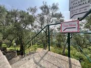 Top San Martino di Noceto