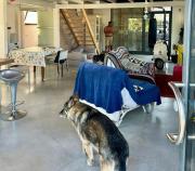 Top Francavilla al Mare