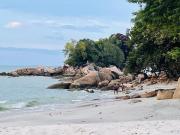 Top Tanjung Bungah