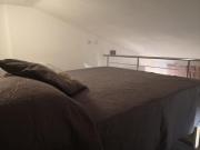 The Turtle - La tartaruga