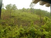 Top Shillong