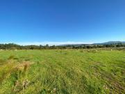 Top Gartmore