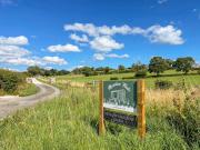 Forget-Me-Not - Uk37646