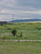 Cozy Tiny Cabin Meadow