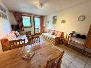 2 pièces pour 4 pers. face télécabine St Martin de Belleville, animaux admis - FR-1-452-114