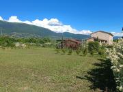 Top Assisi