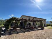 Top Assisi