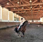 Top Figueira e Barros